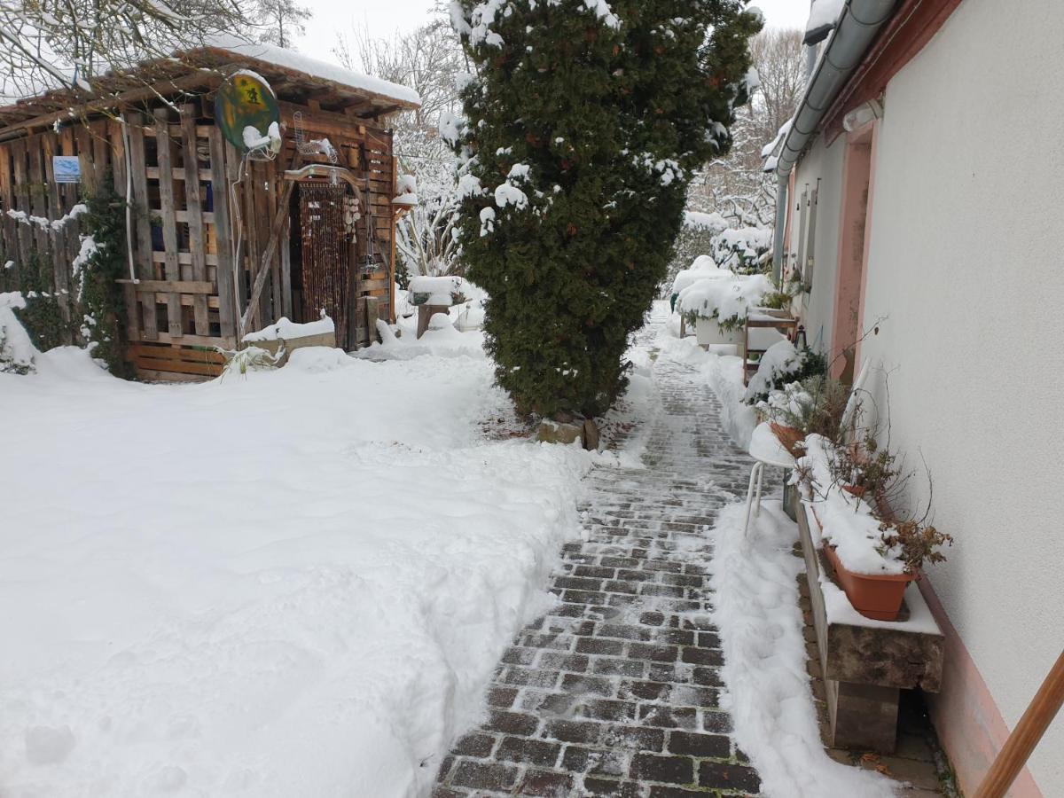 Unser Obervolkacher Ferienhaus-Einfach Gemutlich! Zewnętrze zdjęcie