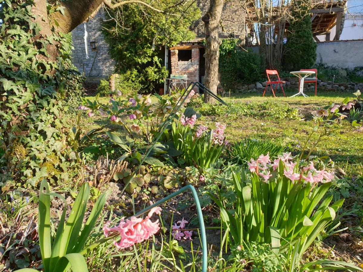 Unser Obervolkacher Ferienhaus-Einfach Gemutlich! Zewnętrze zdjęcie
